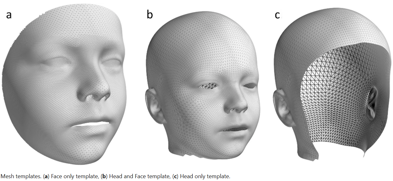 Face segmentation