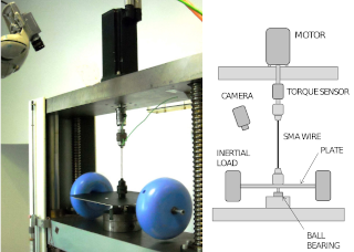 Shape memory alloy torsional pendulum